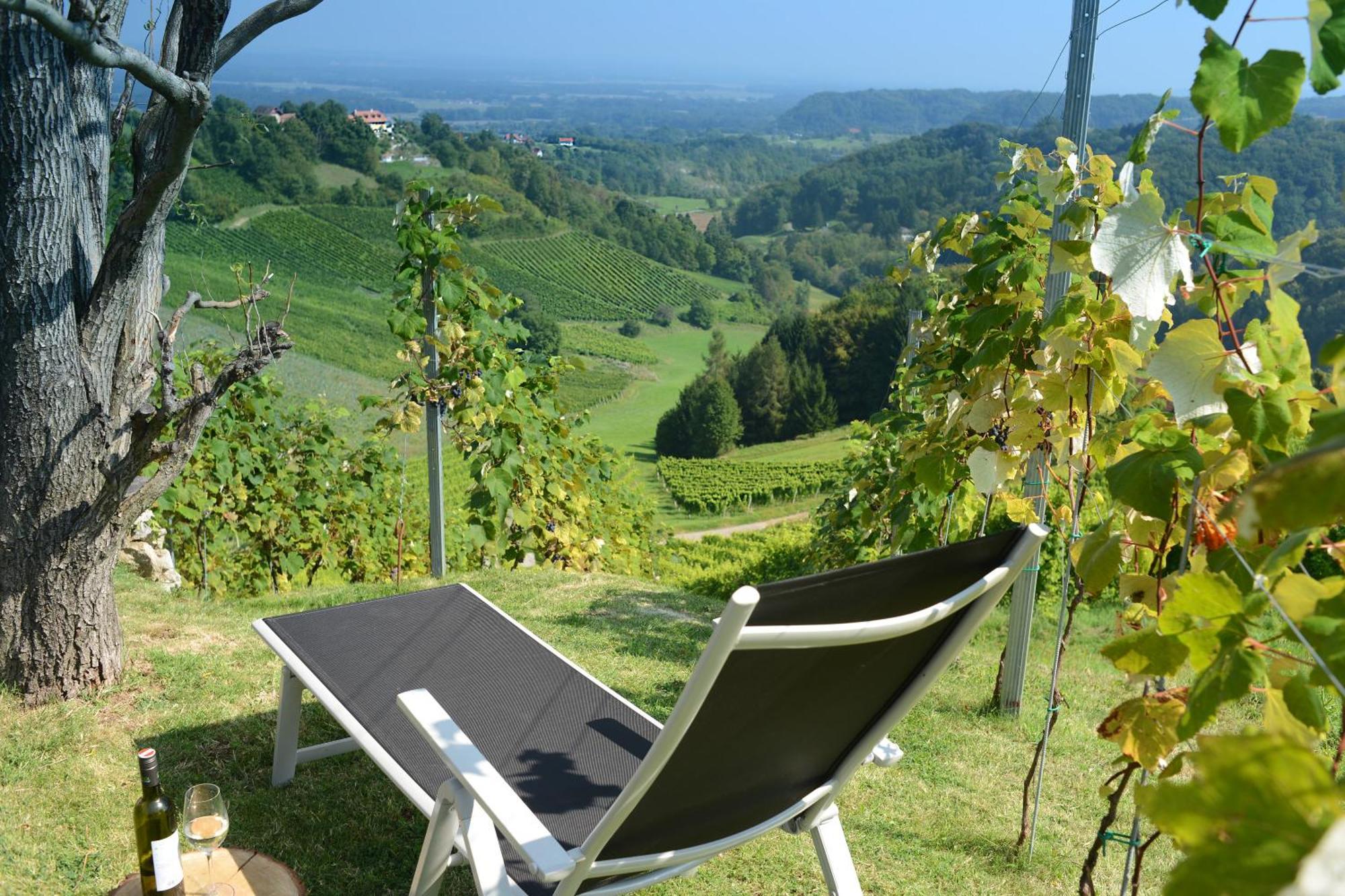 Ferienhaus Am Grassnitzberg 18A Spielfeld Eksteriør bilde
